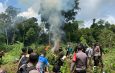Personel Brimob Polda Aceh dan BNN RI Musnahkan Ribuan Batang Ganja